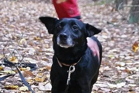 Maleńka Bunia szuka swojego miejsca na ziemi. Adop