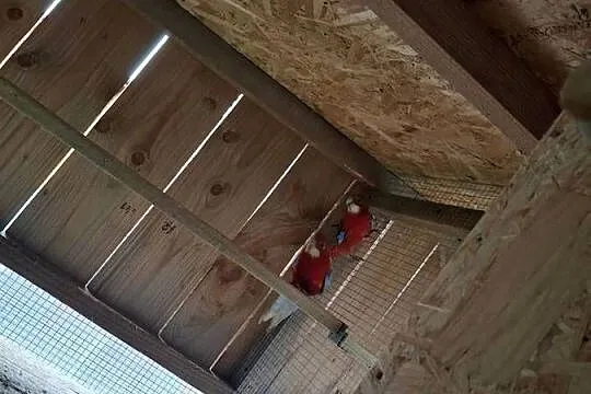Rozelle Białolice Para, Małopolskie, Brzesko