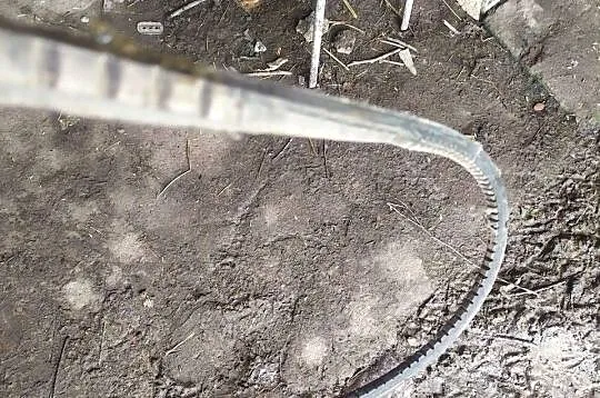 Witam sprzedam śrutownik do zboża, Podkarpackie, Straszydle