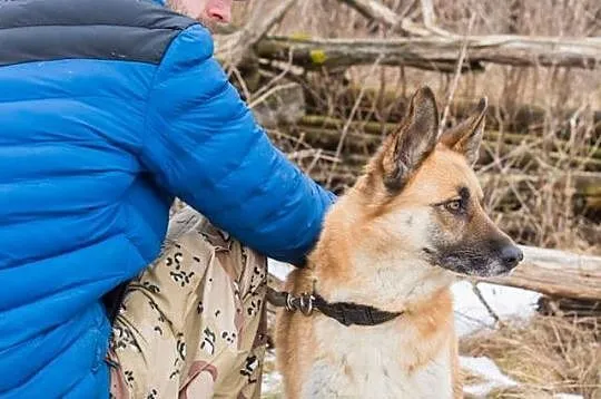 Katrin, młoda, kochana lisiczka szuka kochającego 