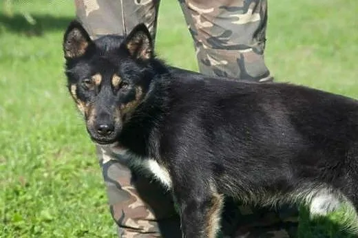 Pokochaj DALIEGO czeka na ciebie :),  mazowieckie 