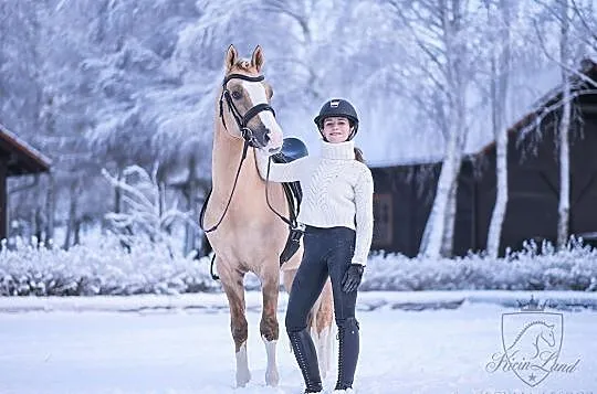 Stanówka kucem grupy D, , Czerwonak
