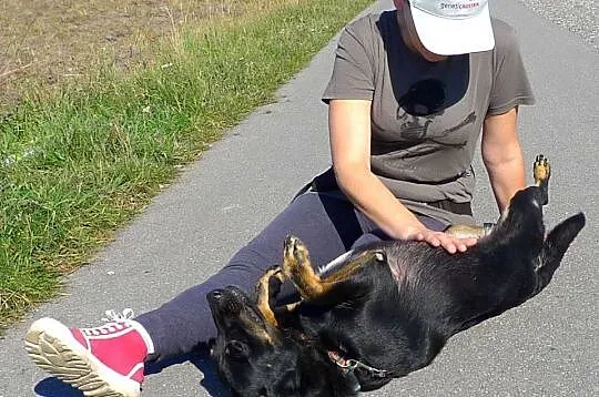 Niezwykle pozytywna PEREŁKA ŚMIESZKA - uśmiechnięt