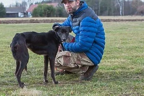 12 miesięczny Mambo odebrany z piekła!,  Kundelki 