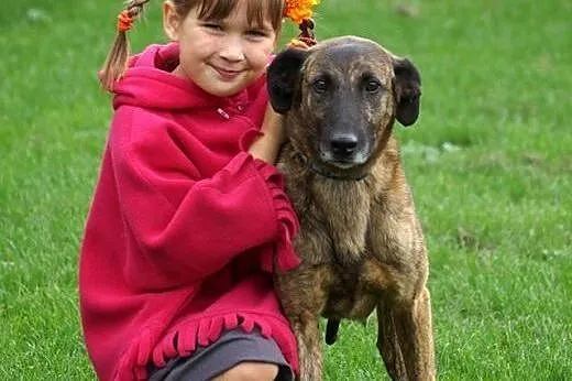Młody, akceptujący inne zwierzaki Kenzo, przyjazny