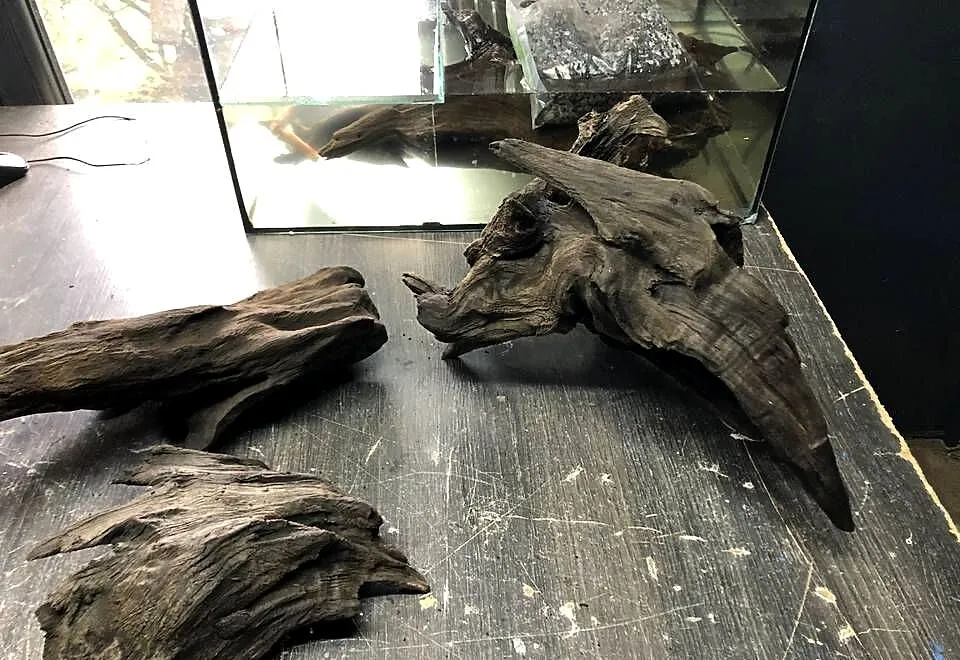Korzeń do akwarium , terrarium, Łódzkie, Justynów