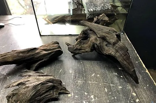 Korzeń do akwarium , terrarium, Łódzkie, Justynów