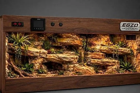 Terrarium dla agamy brodatej żółwia greckiego gekona lamparciego