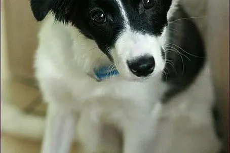 Sally - śliczna dziecina :)