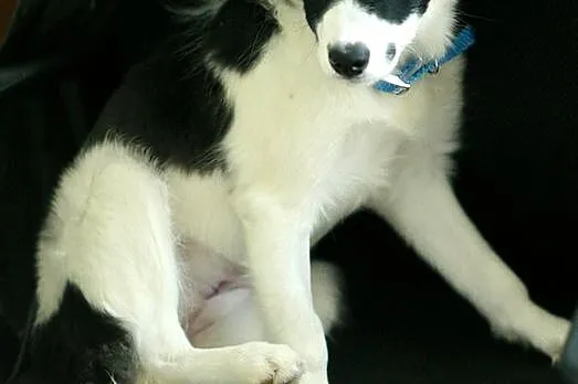 Sally - śliczna dziecina :)