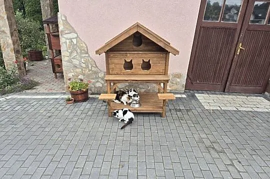 Buda dla kotów, Małopolskie, Jordanów