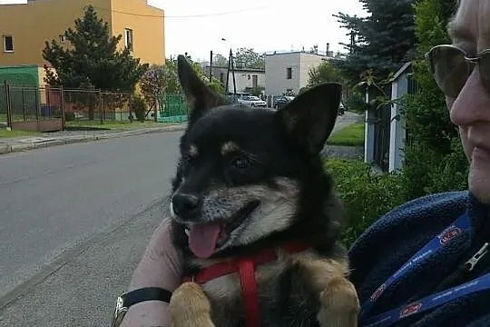 Maleńka Zulka prosi o domek!