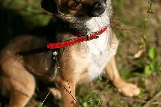 Mikrosunia Funia :)