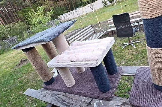 Drapak dla kota XL, Łódzkie, Wieruszów