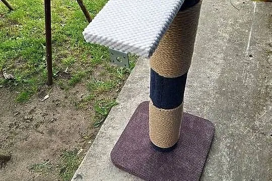 Drapak dla kota XL, Łódzkie, Wieruszów