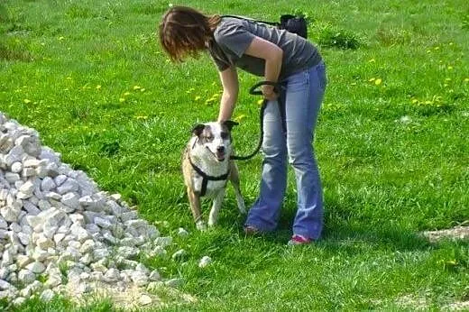 Jacky ma tylko jedno oczko i troszkę boi się świat