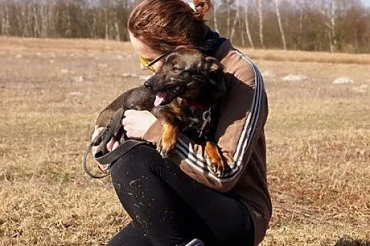 Kawka to młodziutka i drobna kruszyna - błaga o do