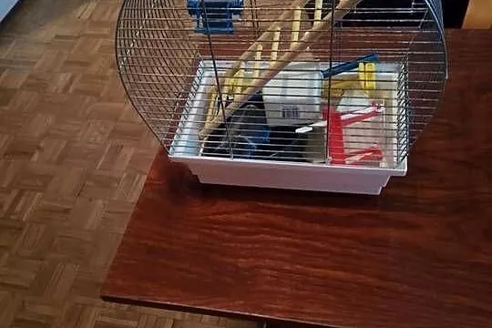 Klatka dla ptaków