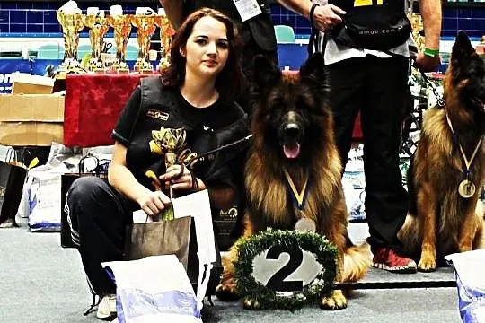 Elitarna Suczka Owczarek Niemiecki, Owczarki Niemi