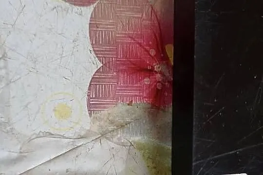 Antena do konstantowania gołębi 4-polowa AMC ESK., Pomorskie, Gdańsk