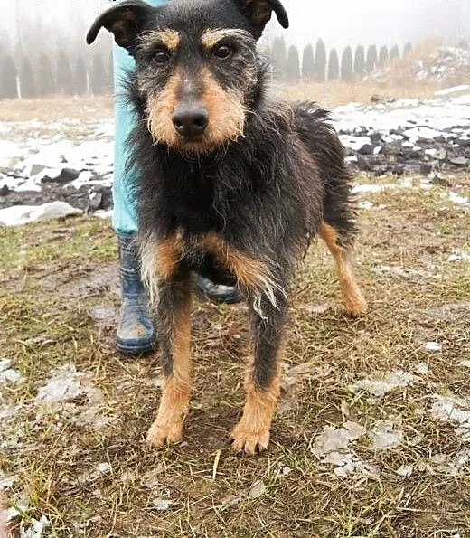 Baks. Nie sposób go nie pokochać!, mazowieckie Wa