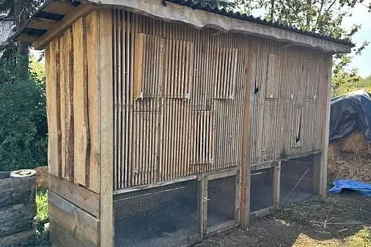Klatka dla zwierząt, Mazowieckie, Promna-Kolonia