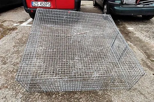 metalowa klatka pułapka na koty, Zachodniopomorskie, Mosty