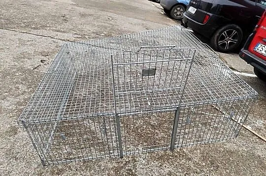 metalowa klatka pułapka na koty, Zachodniopomorskie, Mosty