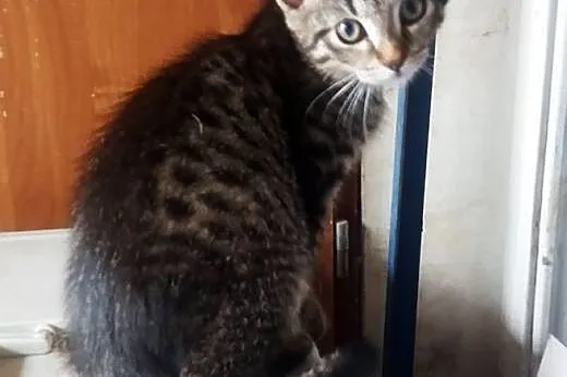 Kto chce, kto chce&#8230;.,  mazowieckie Warsz