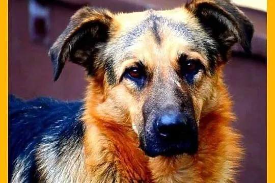 Filip ma tylko dwa tygodnie na znalezienie domu