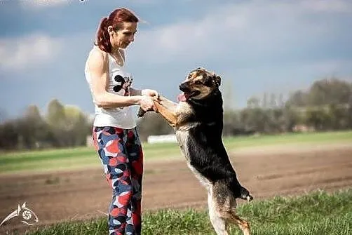 Młoda, bystra, chętna do nauki Sara. Adoptuj cudną