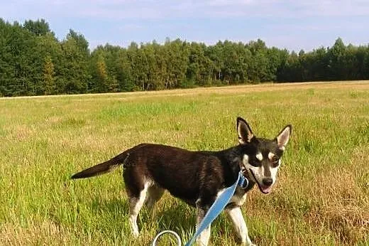Przecież Cię kochałam... dlaczego mnie tu zostawił