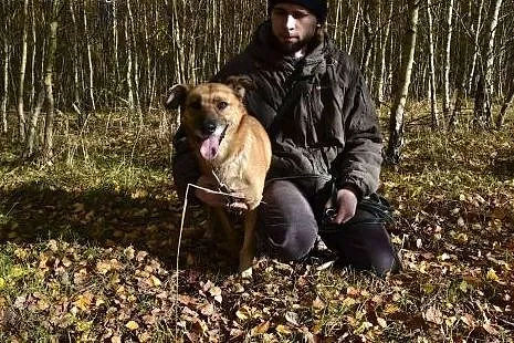Reksio chciałby być kochany, mieć ciepły kocyk i p