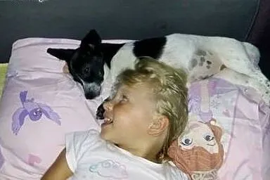 Mała kochana Tutka lubiąca dzieci, szuka domu,  śl