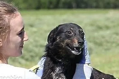 Sunia w średnim wieku szuka pilnie dobrego domku na zawsze, Mazowieckie, Warszawa