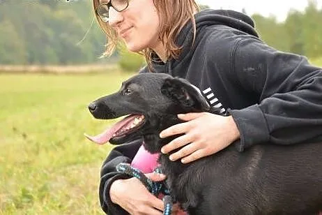 Cudna i kochana Malinka czeka na DOM,  podlaskie B