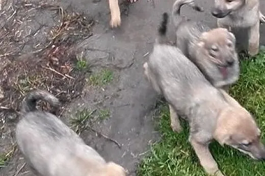 Może Ty zabierzesz mnie do domu?,  małopolskie Kra