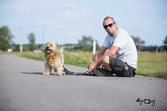 Malutki Puszek, niekonfliktowy KANAPOWY psiak szuk