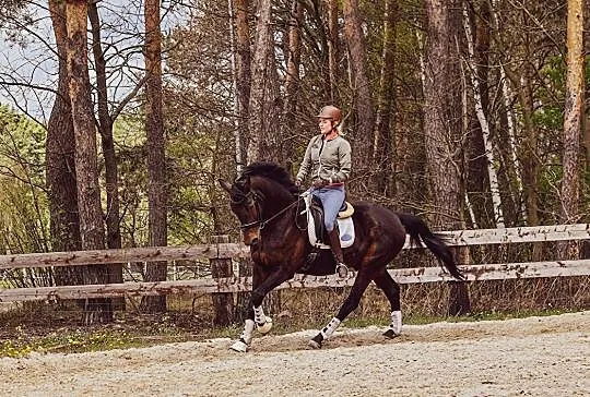 Praca z końmi z ziemi, Jazdy :D, Śląskie, Radlin