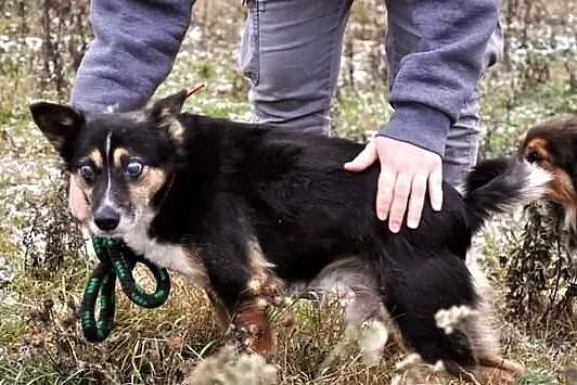 Kacperek i jego nadzieja na dom...