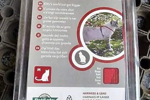 zestaw uprzęży i smyczy PetSafe Easy Walk w rozmiarze M