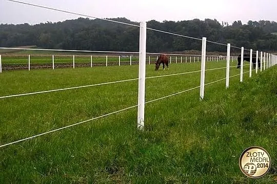 Equisafe - ogrodzenia elektryczne dla koni