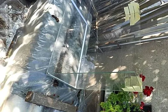 Terrarium szklane 100x73x50cm, Małopolskie, Kraków