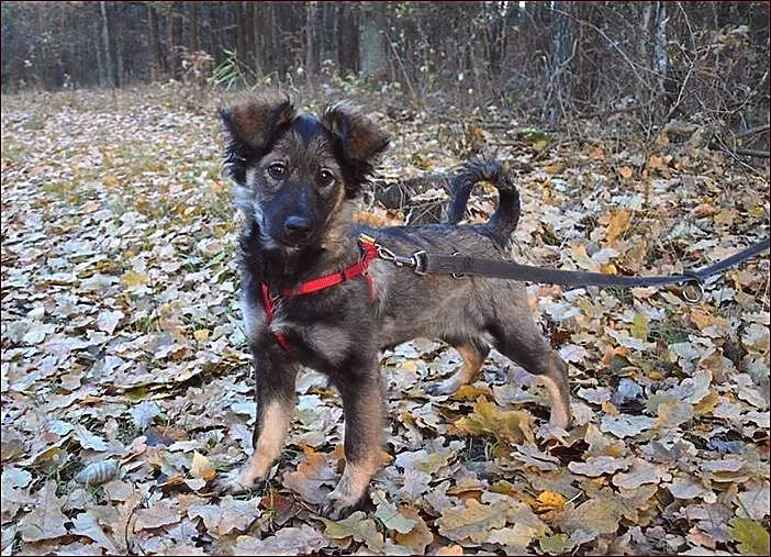Malinka - cud dziewczynka :)