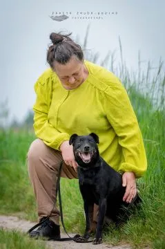 Kuba - spokojny, zrównoważony psiak szuka domu!  Kuba ma ok 11 - 12 lat i waży 11 kg całe swoje życi, , Warszawa