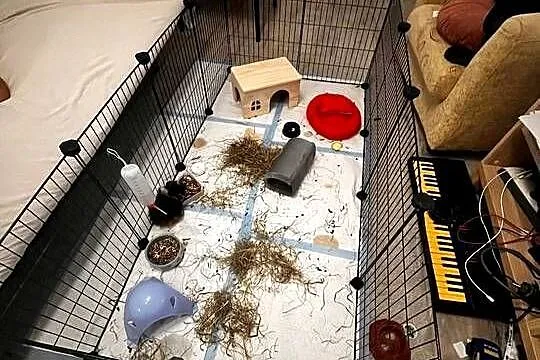 Metalowy wybieg dla małych zwierząt DIY czarny