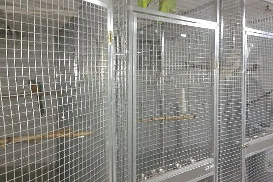 profile aluminiowe do budowy wolier dla papug, Śląskie, Dąbrowa Górnicza
