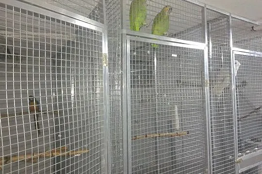 profile aluminiowe do budowy wolier dla papug, Śląskie, Dąbrowa Górnicza