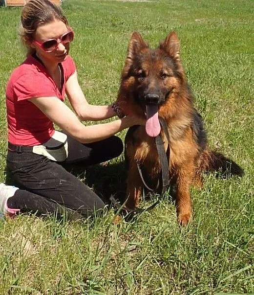 Alex do adopcji 2 letni FILMIK, mazowieckie Warsz