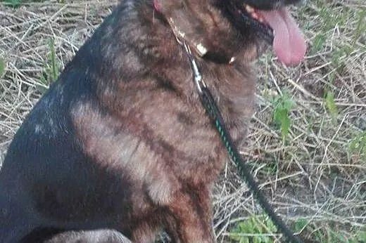 TIGRA - z każdym smutkiem wygra!,  mazowieckie War